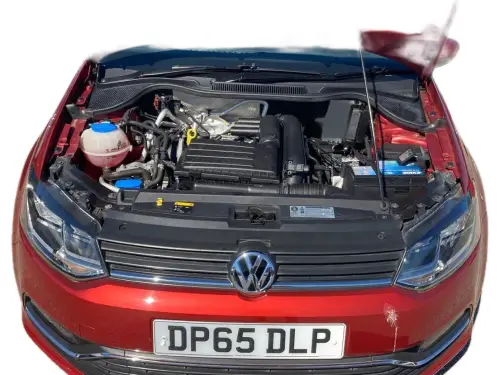 Volkswagen Polo DP65 DLP