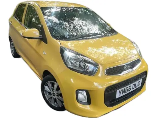 Kia Picanto YM66 OLG