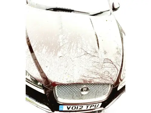 Jaguar XF SE Business D Auto VO12 TPU