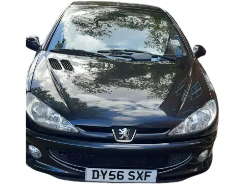 Peugeot 206 DY56 SXF