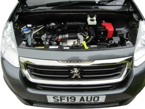 Peugeot Horizon SF19 AUO