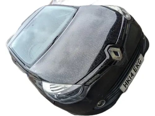 Renault Clio HK14 EKG