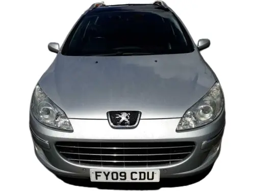 Peugeot 407 Sport SW HDi FY09 CDU