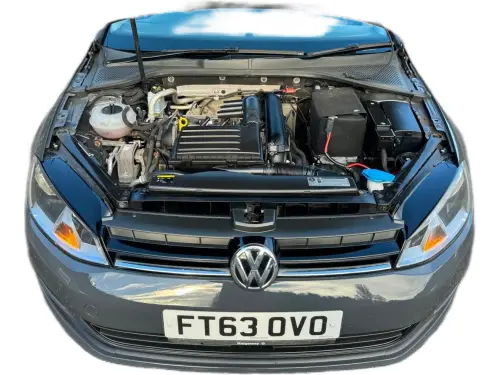 Volkswagen Golf FT63 OVO