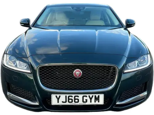 Jaguar XF YJ66 GYM