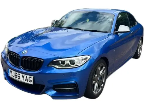 BMW 2 Series YJ66 YAG