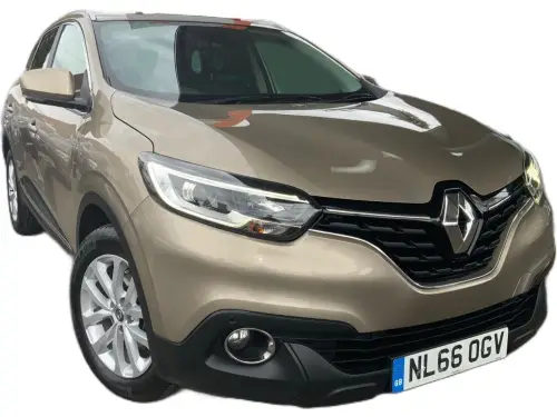 Renault Kadjar NL66 OGV