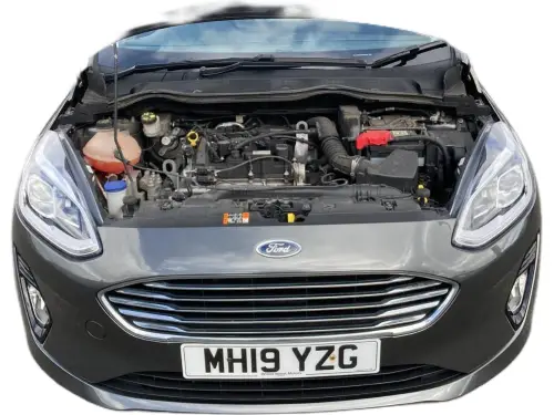 Ford Fiesta MH19 YZG