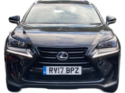Lexus NX RV17 BPZ