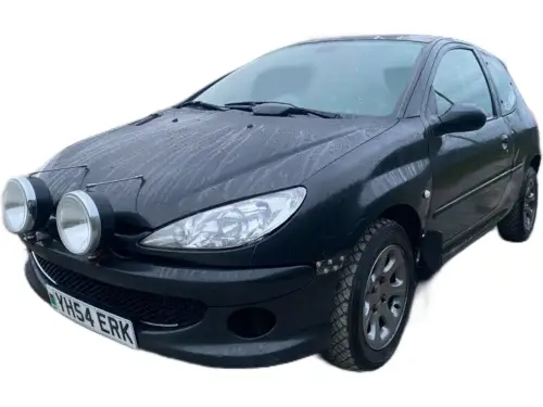 Peugeot 206 GTI 180 YH54 ERK