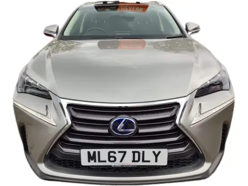Lexus NX ML67 DLY