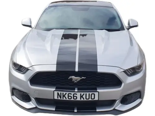 Ford Mustang NK66 KUO