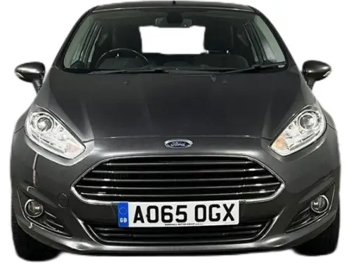 Ford Fiesta AO65 OGX