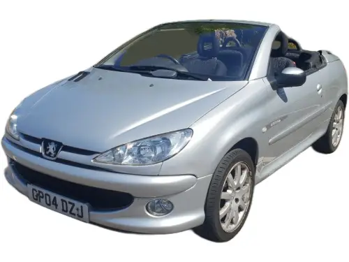 Peugeot 206 GP04 DZJ