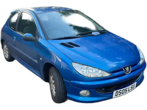 Peugeot 206 DS05 LSU