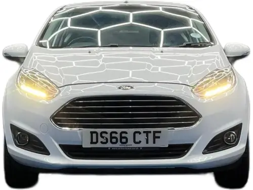 Ford Fiesta DS66 CTF
