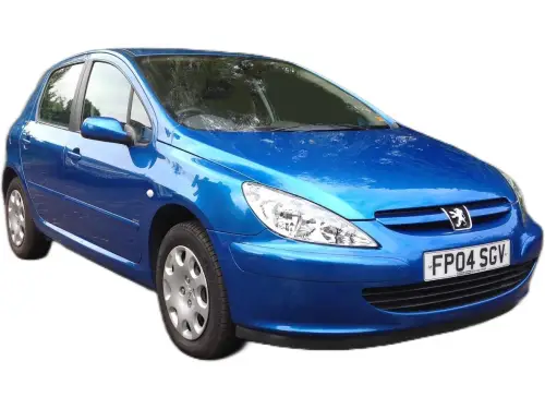 Peugeot 307 FP04 SGV