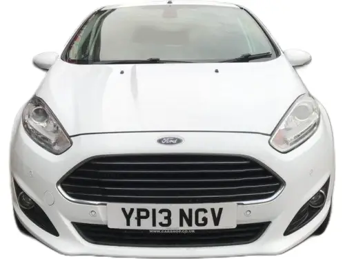 Ford Fiesta YP13 NGV