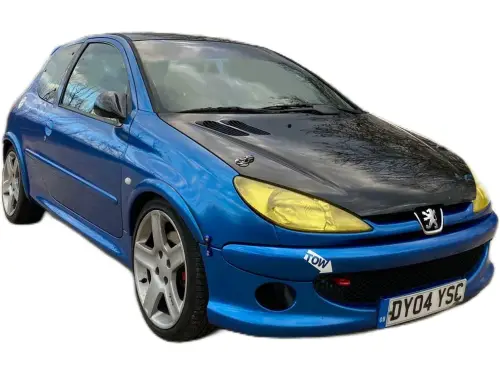 Peugeot 206 GTI 180 DY04 YSC
