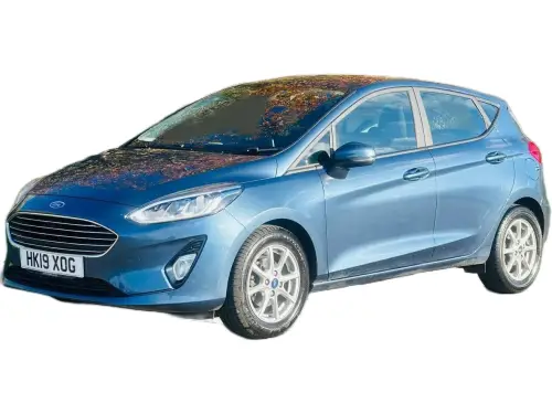 Ford Fiesta HK19 XOG