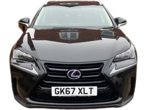 Lexus NX GK67 XLT