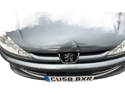 Peugeot 206 CU58 BXR