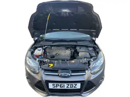 Ford Focus SP61 ZDZ
