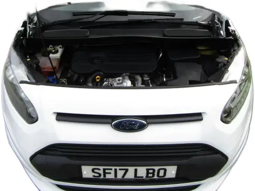 Ford Freedom SF17 LBO