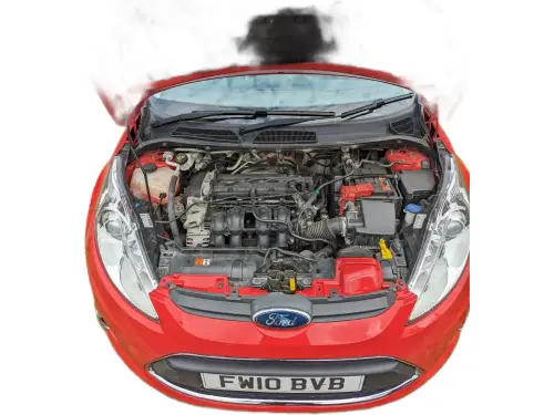 Ford Fiesta FW10 BVB