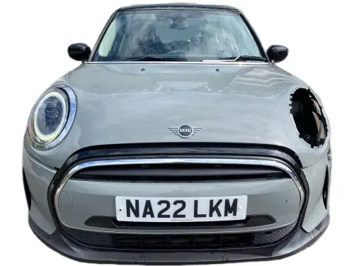 MINI Cooper NA22 LKM