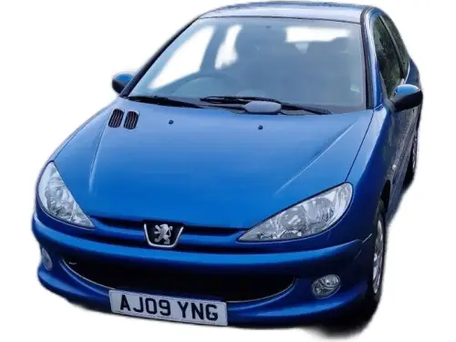 Peugeot 206 AJ09 YNG