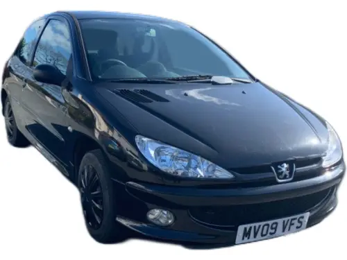Peugeot 206 Look MV09 VFS