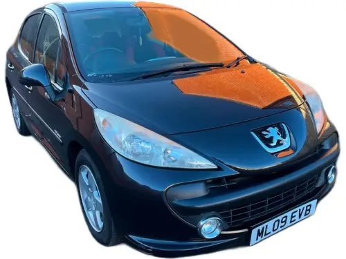 Peugeot 207 ML09 EVB