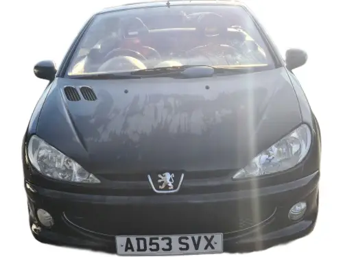 Peugeot 206 AD53 SVX