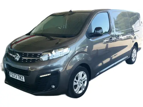 Vauxhall Vivaro F3100 Pro FG73 TRZ