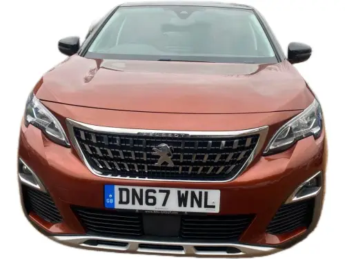 Peugeot 3008 DN67 WNL