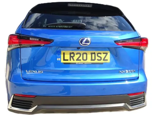 Lexus NX 300h CVT LR20 DSZ