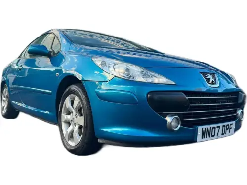 Peugeot 307 WN07 DPF
