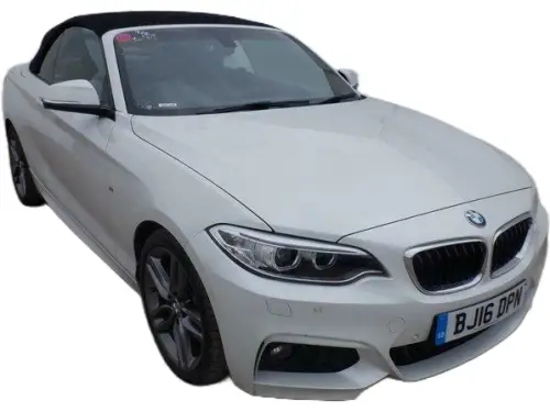 BMW 530d M Sport Auto BJ16 DPV