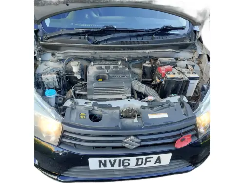 Suzuki Celerio NV16 DFA