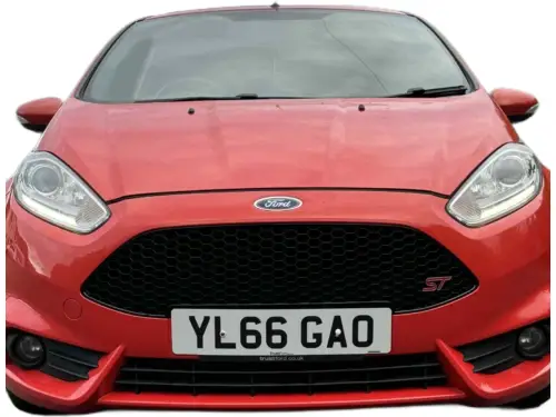 Ford Fiesta YL66 GAO