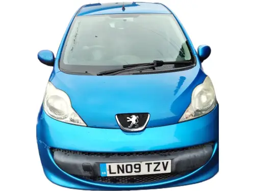 Peugeot 107 LN09 TZV