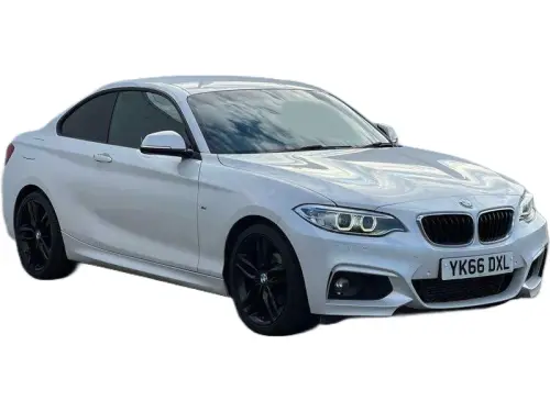 BMW 218 YK66 DXL