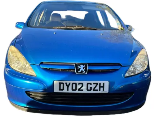 Peugeot 307 DY02 GZH