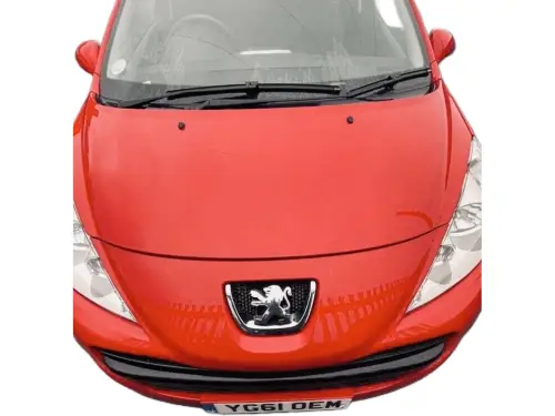 Peugeot 207 Access YG61 OEM