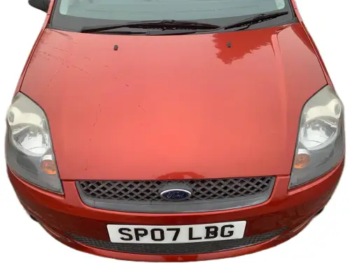 Ford Fiesta SP07 LBG