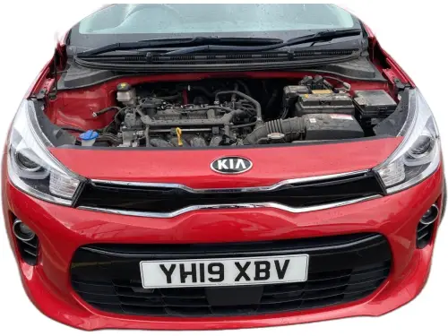 Kia RIO YH19 XBV