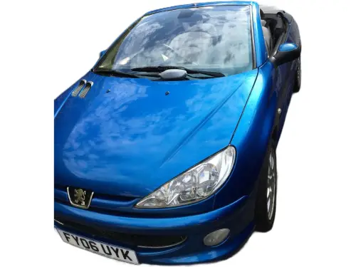 Peugeot 206 FY06 UYK