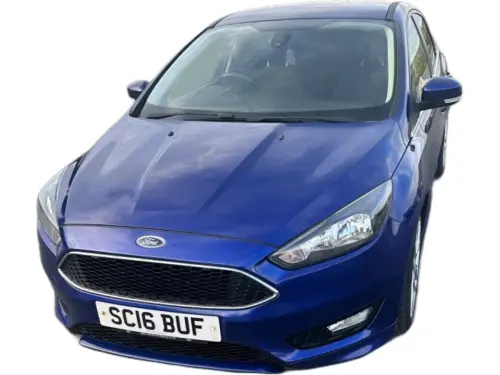 Ford Focus SC16 BUF