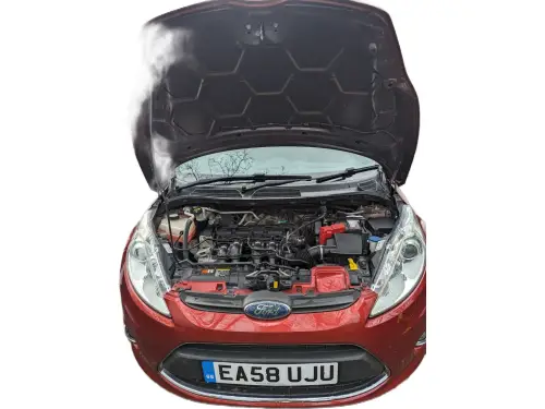 Ford Fiesta EA58 UJU